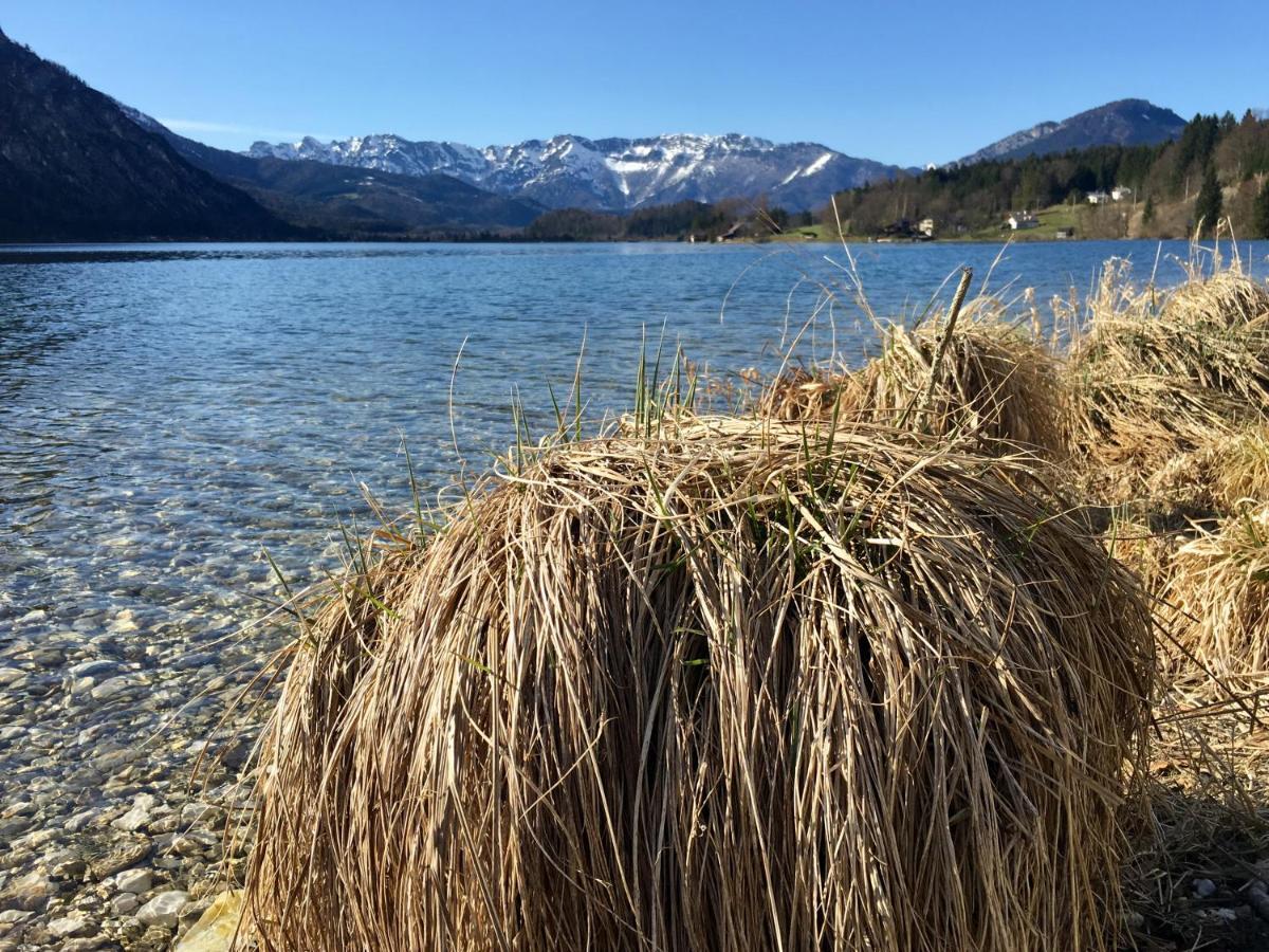 Landhaus Hallstaettersee Bad Goisern Exteriör bild